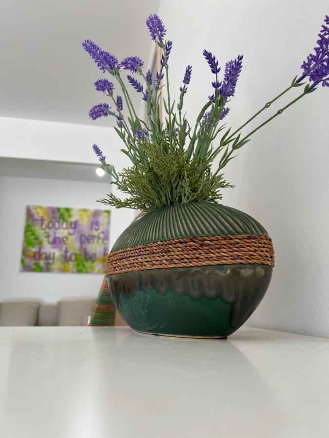 Casa Vacanze Lavanda 芒通 外观 照片